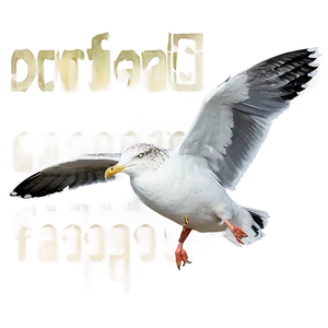 Seagull Flying High Png Grw PNG image