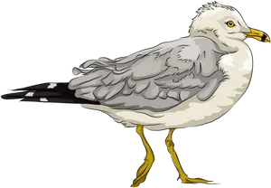 Seagull Profile Illustration PNG image