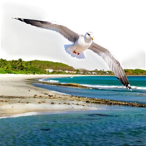 Seagulls Flying Beach PNG 05212024 PNG