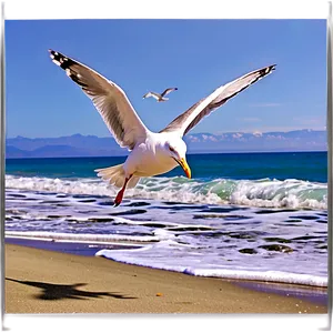 Seagulls Flying Beach PNG 05212024 PNG