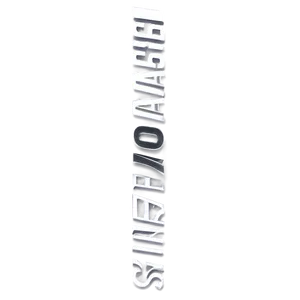 Seahawks Logo In Monochrome PNG 05242024