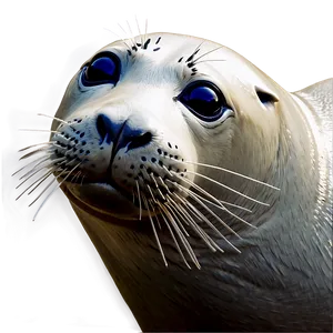 Seal Clipart Png 74 PNG image