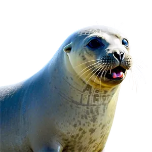 Seal Eating Png 05242024 PNG image