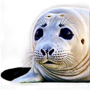 Seal Emoji Png 05242024 PNG image