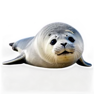 Seal Emoji Png Ugh8 PNG image