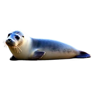 Seal Family Png 35 PNG image