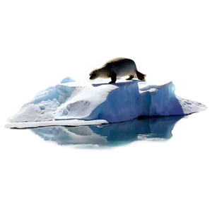 Seal On Iceberg Png Van PNG image