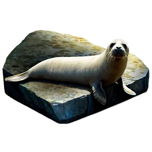 Seal On Rock Png Pvc PNG image