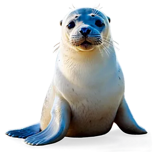 Seal Vector Png Eue26 PNG image