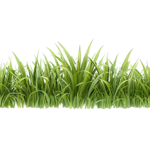 Seamless Cartoon Grass PNG 38