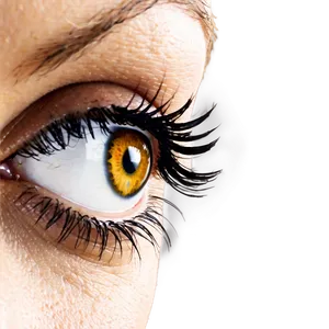 Seamless Eyelashes Png Byp57 PNG image