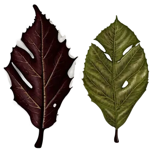 Seamless Fallen Leaves Pattern PNG 06292024