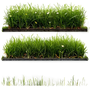 Seamless Green Grass Pattern PNG 47 PNG