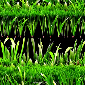 Seamless Green Grass Pattern PNG Vtc75 PNG