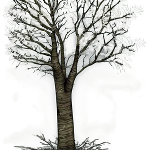 Seamless Tree Branches PNG 06282024 PNG
