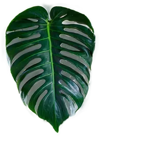 Seamless Tropical Leaf Texture Png 06122024 PNG image