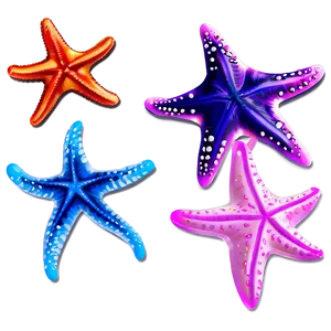 Seashell And Starfish Clipart Png 06262024 PNG image