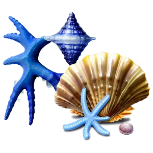 Seashell And Starfish PNG Img