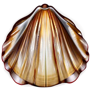 Seashell Background Clipart PNG 22