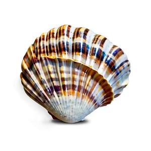 Seashell Background Clipart PNG Ksw60