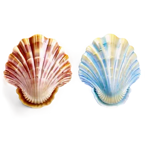 Seashell Bathroom Decor PNG 34 PNG