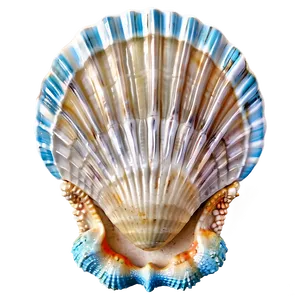 Seashell Bathroom Decor PNG 52 PNG