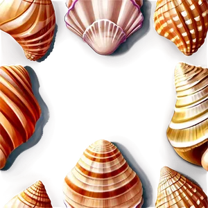 Seashell Cartoon Image PNG 05242024