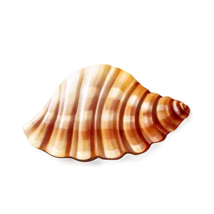 Seashell Cartoon Image PNG Snv91