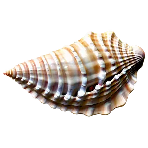 Seashell Dream PNG 06132024 PNG