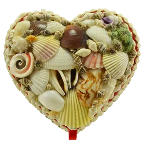 Seashell Heart Artwork PNG