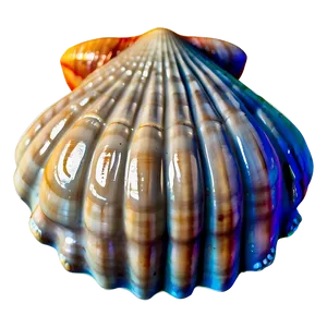 Seashell Icon Clipart Png Aeg PNG image