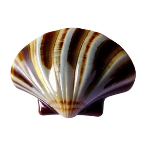 Seashell Mosaic Art PNG 16 PNG