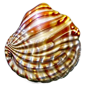 Seashell On Beach Sand PNG Qjv5