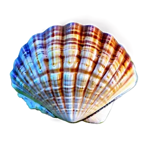 Seashell Paradise PNG 8 PNG