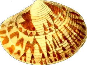Seashell Pattern Abstract