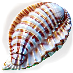 Seashell Pattern Background PNG 50