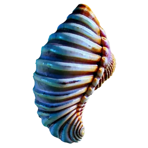 Seashell Pattern Background PNG Wsd