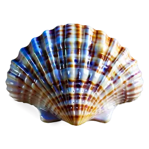 Seashell Pattern Clipart Png 06262024 PNG image