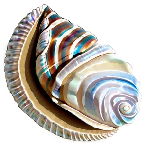 Seashell Pattern Clipart Png Mwn PNG image