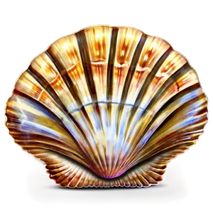 Seashell Scallop Design PNG 05242024