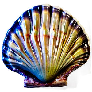 Seashell Scallop Design PNG Itt