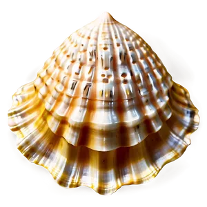 Seashell Silhouette Clipart PNG 24