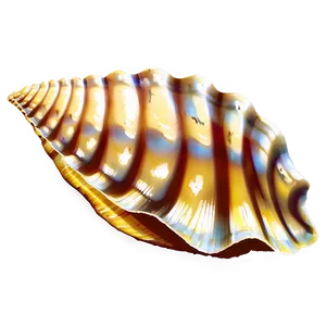 Seashell Silhouette Png Hdc95 PNG image
