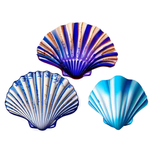 Seashell Sketches PNG Jrq PNG
