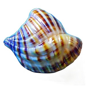 Seashell Transparent Background PNG 47