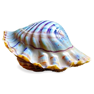 Seashell Underwater Picture PNG 23 PNG