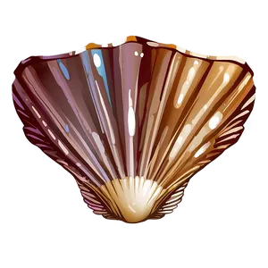 Seashell Vector Art PNG Kef75 PNG