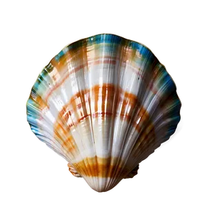 Seashell Wedding Decoration PNG 05242024