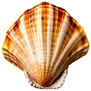 Seashell With Ocean Background Clipart PNG 47