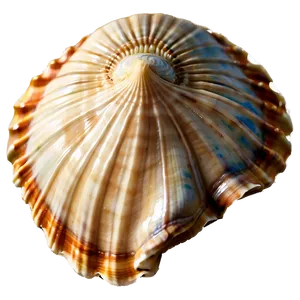Seashell With Ocean Background Clipart PNG Kam71 PNG